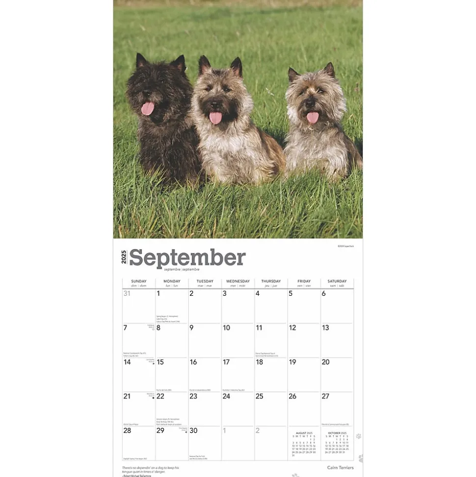 2025 BrownTrout Cairn Terriers 12" x 24" Monthly Square Wall Calendar, (9781975476779)