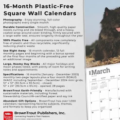 2025 BrownTrout Cairn Terriers 12