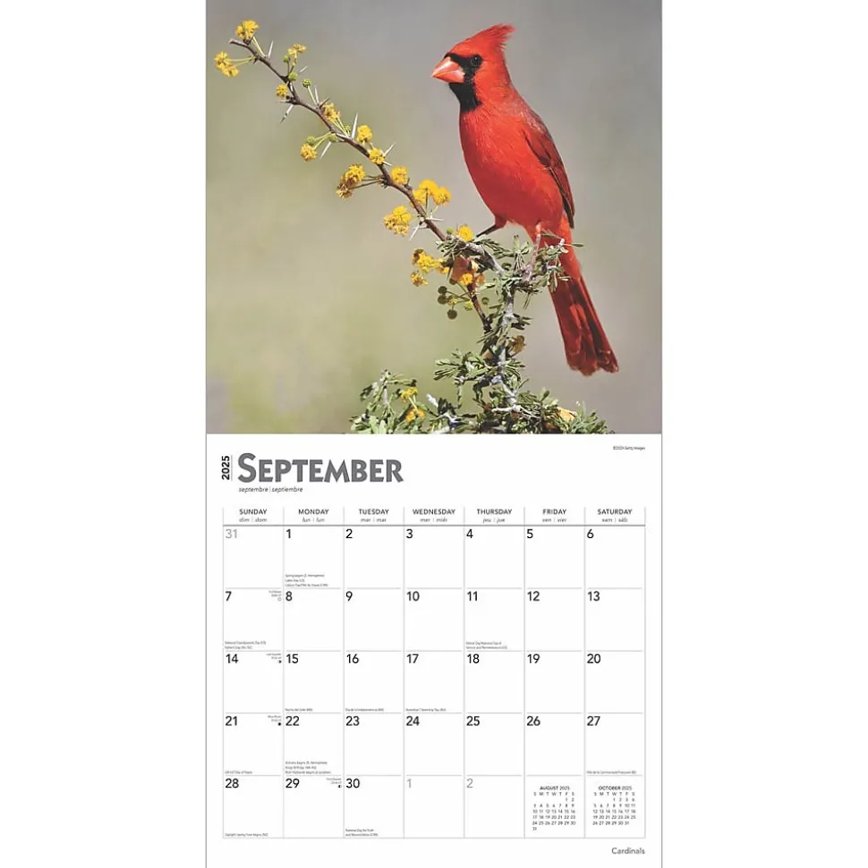 2025 BrownTrout Cardinals 12" x 24" Monthly Square Wall Calendar, (9781975476786)
