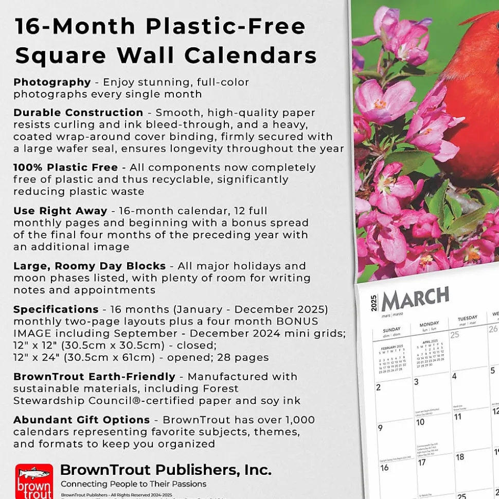 2025 BrownTrout Cardinals 12" x 24" Monthly Square Wall Calendar, (9781975476786)