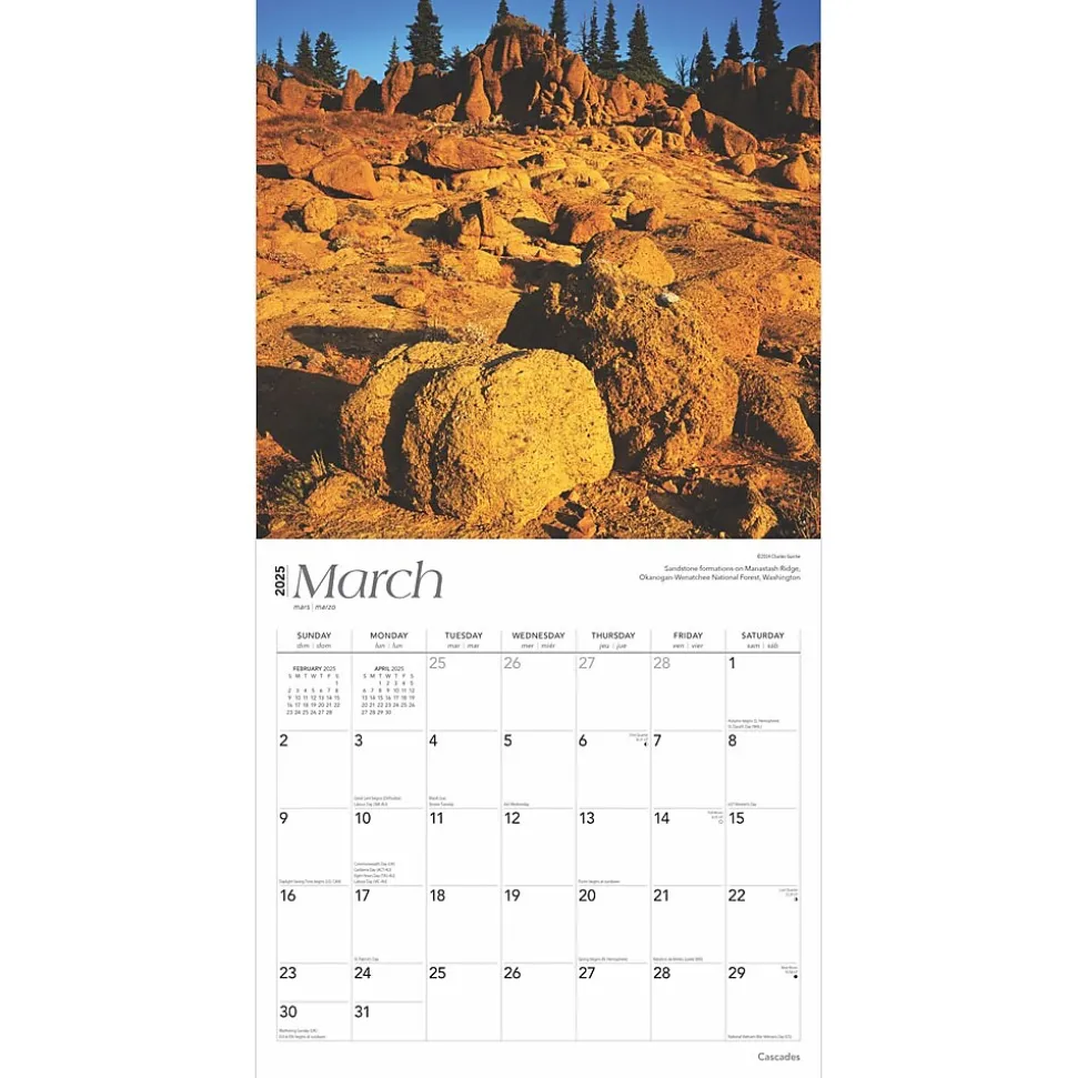 2025 BrownTrout Cascades 12" x 12" Monthly Wall Calendar (9781975474607)