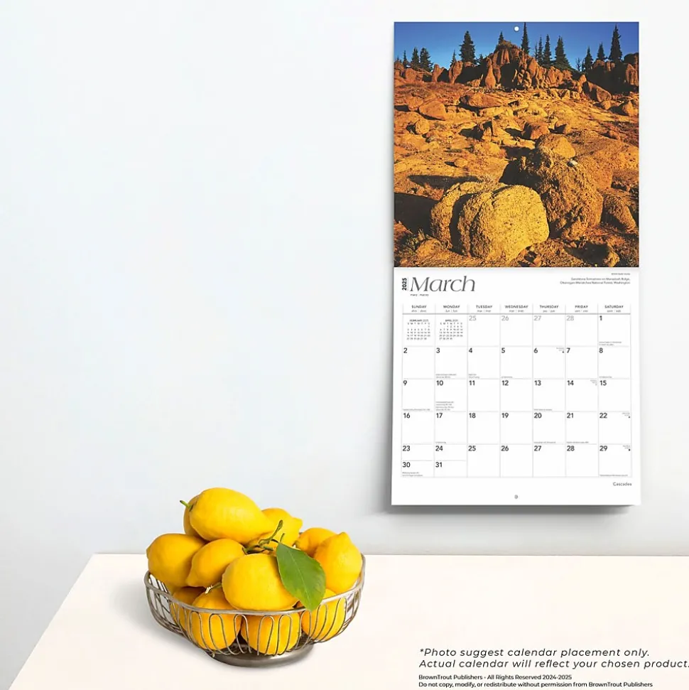 2025 BrownTrout Cascades 12" x 12" Monthly Wall Calendar (9781975474607)
