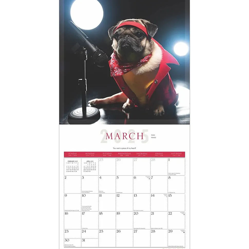 2025 BrownTrout Fantasy Pugs 12" x 12" Monthly Square Wall Calendar (9781975479824)