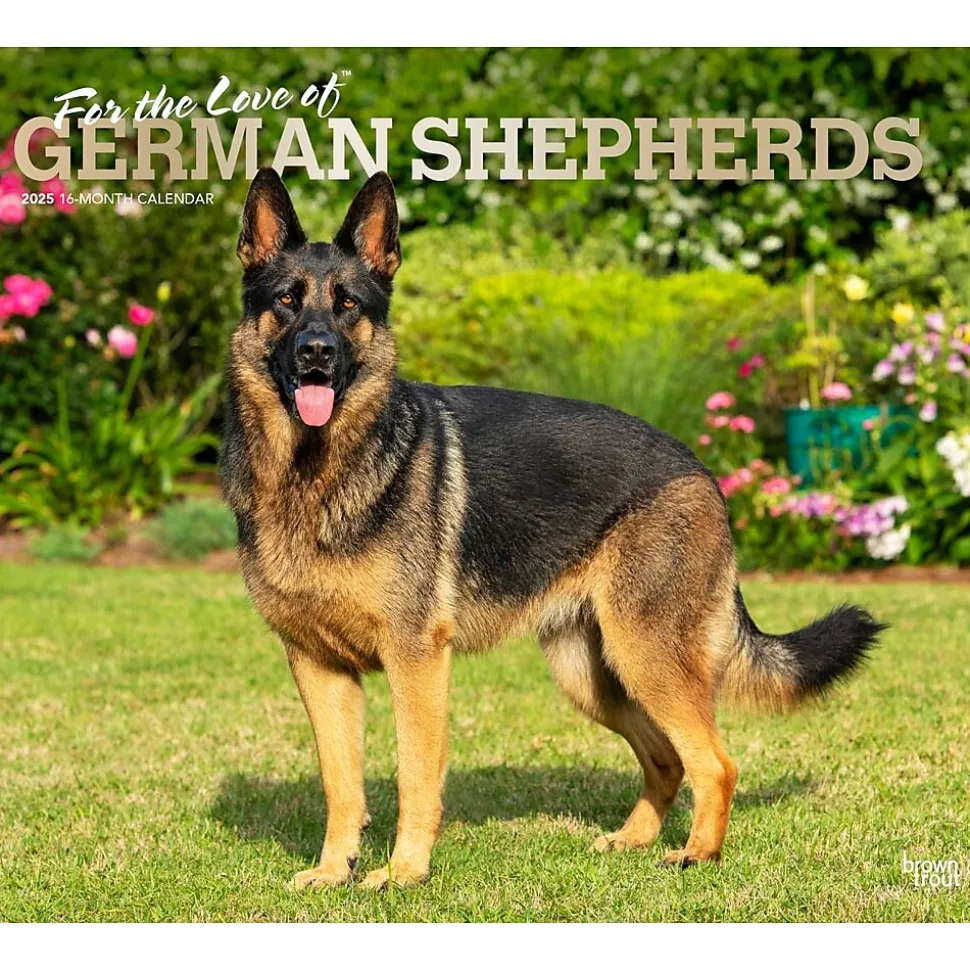 2025 BrownTrout For the Love of German Shepherds 7" x 12" Monthly Wall Calendar (9781975473037)