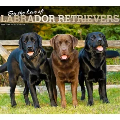 2025 BrownTrout For the Love of Labrador Retrievers 14" x 24" Monthly Deluxe Wall Calendar, (9781975473068)