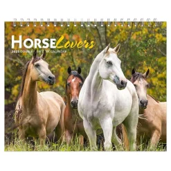 2025 BrownTrout Horse Lovers 7.5" x 6" Monthly Desk Calendar (9781975478476)