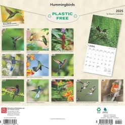2025 BrownTrout Hummingbirds 12" x 12" Monthly Wall Calendar (9781975477189)