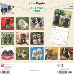 2025 BrownTrout I Love Puppies 12" x 12" Monthly Wall Calendar (9781975477592)