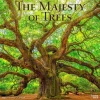 2025 BrownTrout The Majesty of Trees 12" x 12" Monthly Square Wall Calendar (9781975477394)
