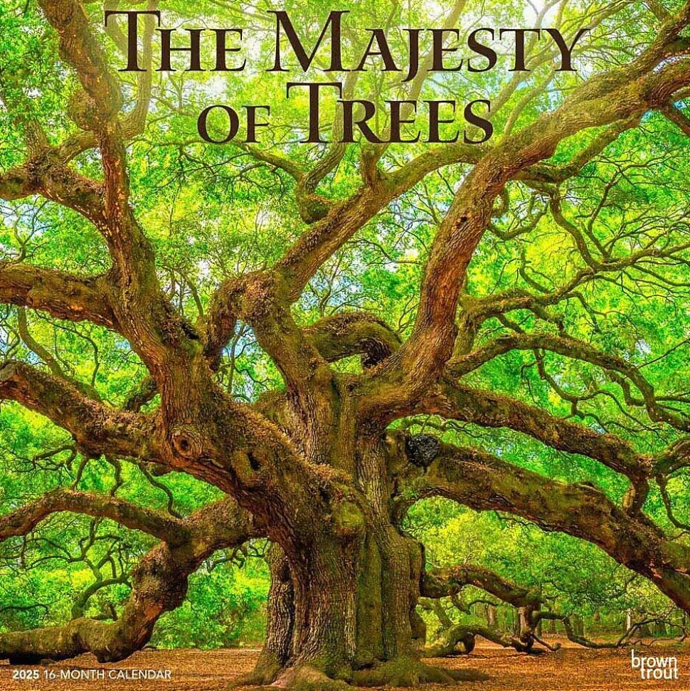 2025 BrownTrout The Majesty of Trees 12" x 12" Monthly Square Wall Calendar (9781975477394)