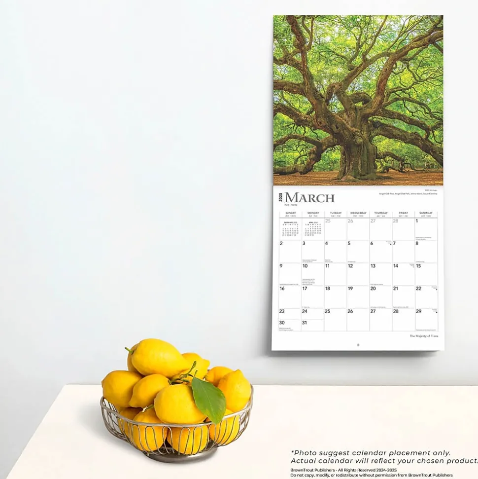 2025 BrownTrout The Majesty of Trees 12" x 12" Monthly Square Wall Calendar (9781975477394)