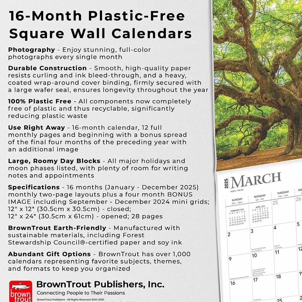 2025 BrownTrout The Majesty of Trees 12" x 12" Monthly Square Wall Calendar (9781975477394)
