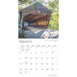 2025 BrownTrout The Majesty of New England 12