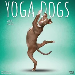 2025 BrownTrout Yoga Dogs 12" x 12" Monthly Wall Calendar (9781975479879)