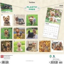 2025 BrownTrout Yorkshire Terriers 12" x 12" Monthly Wall Calendar (9781975478001)