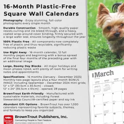 2025 BrownTrout Yorkshire Terriers 12