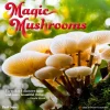 2025 Brush Dance Magic Mushrooms 12" x 12" Monthly Square Wall Calendar (9781975478698)