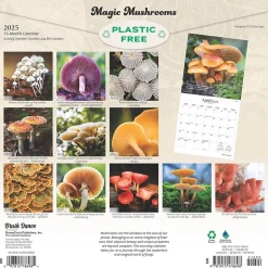 2025 Brush Dance Magic Mushrooms 12" x 12" Monthly Square Wall Calendar (9781975478698)