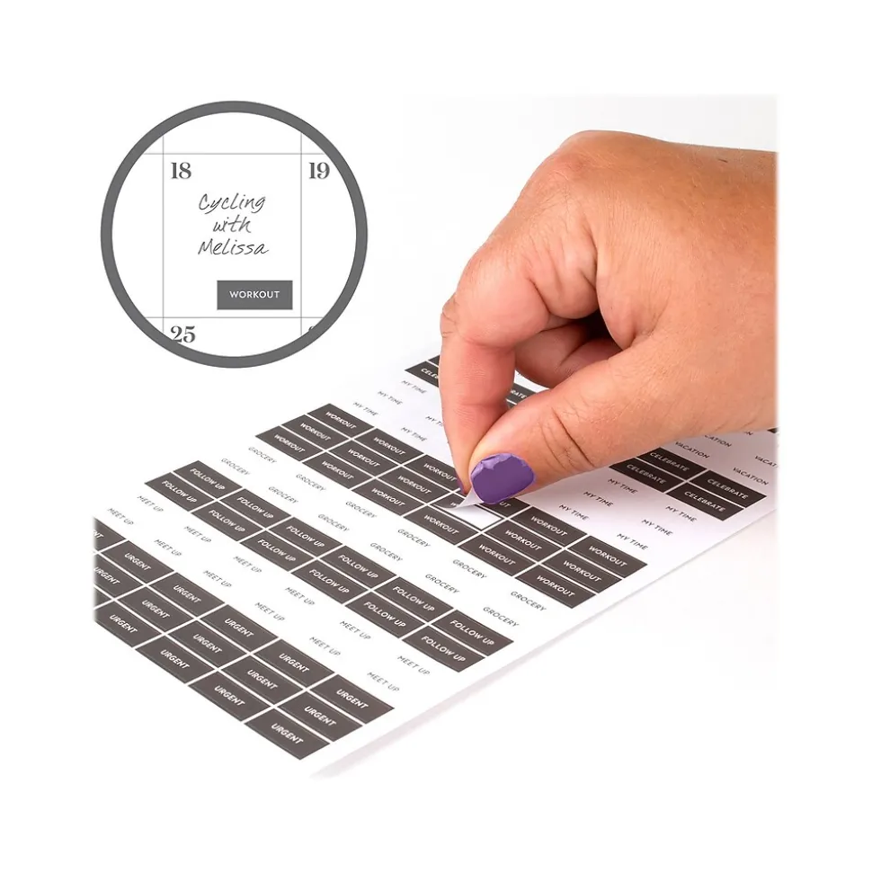 2024-2025 Cambridge WorkStyle Balance 5.5" x 8.5" Academic Weekly & Monthly Planner, Poly Cover, Purple Swirl