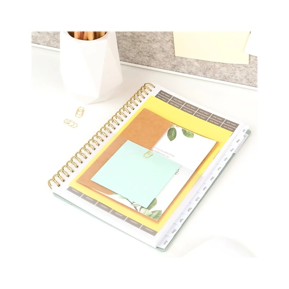 2024-2025 Cambridge WorkStyle Classic 5.5" x 8.5" Academic Weekly & Monthly Planner, Plastic Cover, Mellow Frost