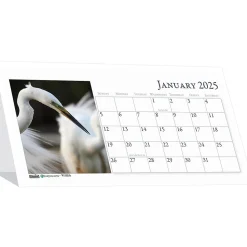 2025 House of Doolittle Earthscapes Wildlife 8.5" x 4.25" Monthly Desk Calendar (3689-25)