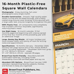 2025 Motor Club Supercars 12