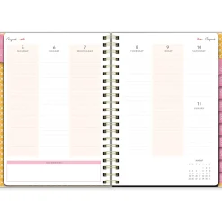 2024-2025 Southworth Rustic Citrus 8.5