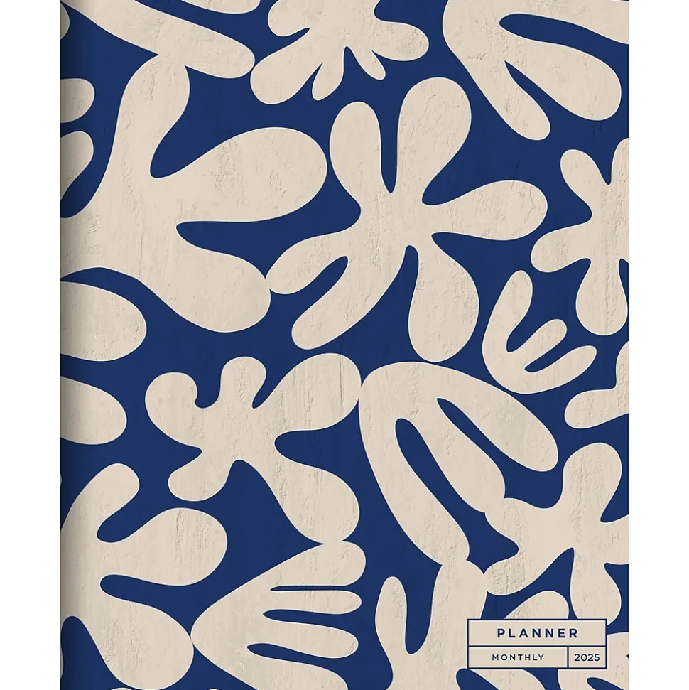 2025 TF Publishing 9" x 11" Wacky and Wavy Large Monthly Planner 25-4716