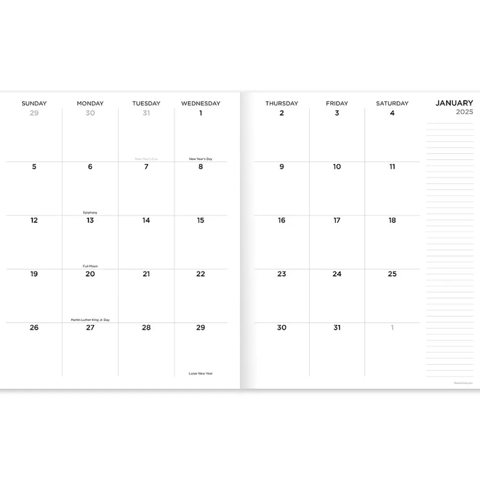 2025 TF Publishing 9" x 11" Wacky and Wavy Large Monthly Planner 25-4716