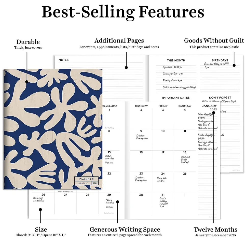 2025 TF Publishing 9" x 11" Wacky and Wavy Large Monthly Planner 25-4716