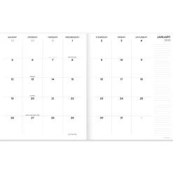 2025 TF Publishing 9" x 11" Monthly Planner, Paperboard Cover, Color Swoops (25-4702)