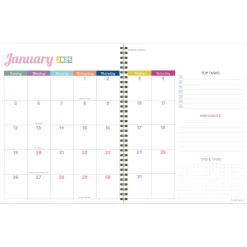 2025 TF Publishing Cobalt Dots 9" x 11" Weekly & Monthly Planner, Paperboard Cover, Multicolored (25-9712)