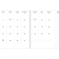 2024-2025 TF Publishing Color Squad 9" x 11" Academic Monthly Planner, Paperboard Cover, Multicolor (AY25-4504)
