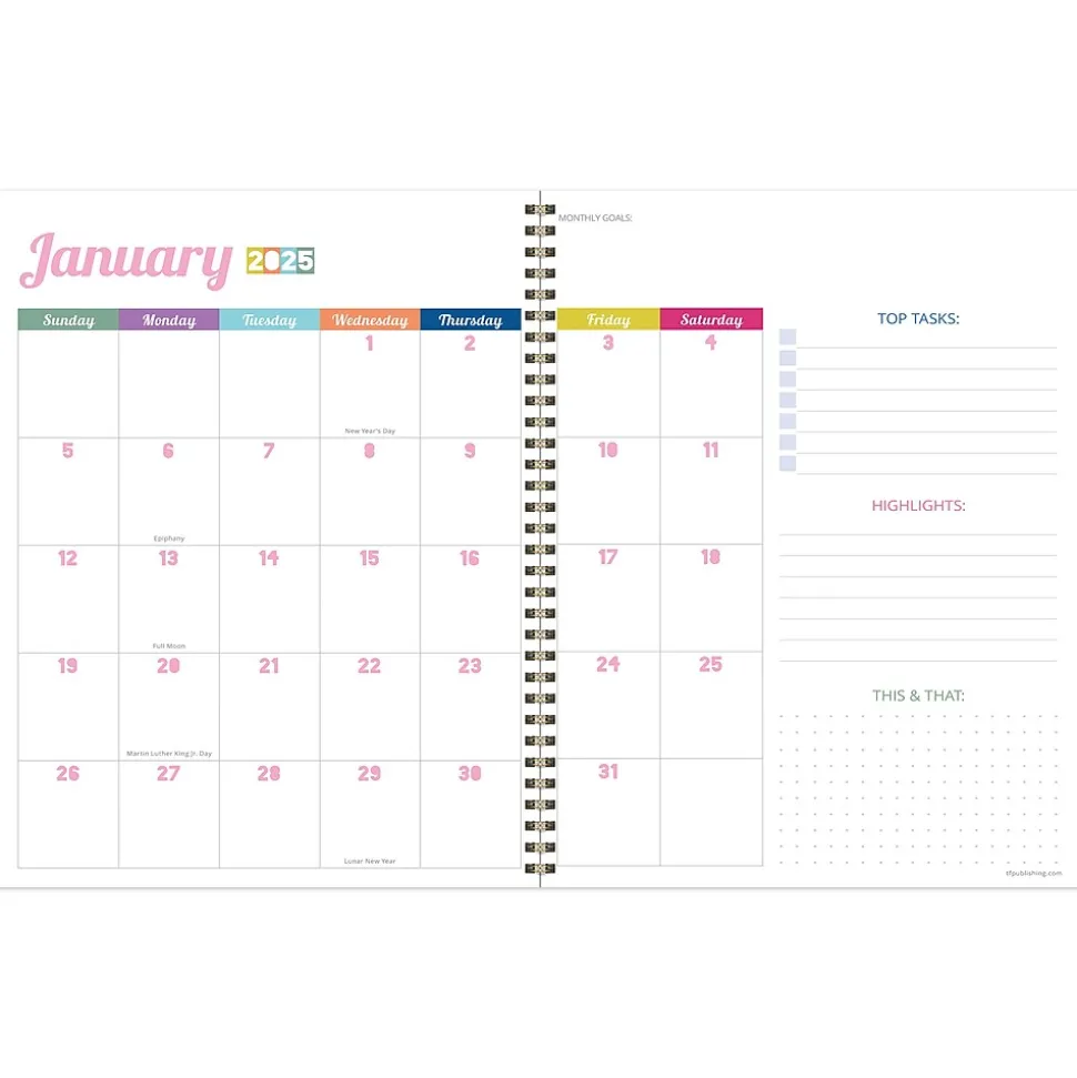 2025 TF Publishing Madras Plaid 9" x 11" Weekly & Monthly Planner, Paperboard Cover, Multicolored (25-9714)