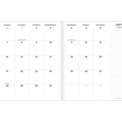 2024-2025 TF Publishing Tie-Dye 6.5" x 8" Academic Monthly Planner, Paperboard Cover, Multicolor (AY25-4214)