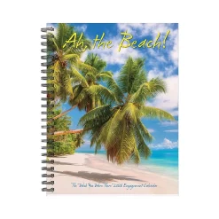 2025 Willow Creek Ah, the Beach! 6.5" x 8.5" Weekly Planner, Paper Cover, Multicolor (46050)
