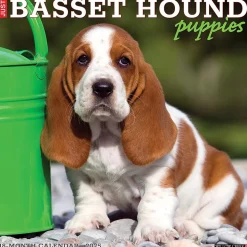 2025 Willow Creek Basset Hound Puppies 12" x 12" Yearly Wall Calendar (41598)