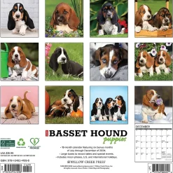 2025 Willow Creek Basset Hound Puppies 12" x 12" Yearly Wall Calendar (41598)