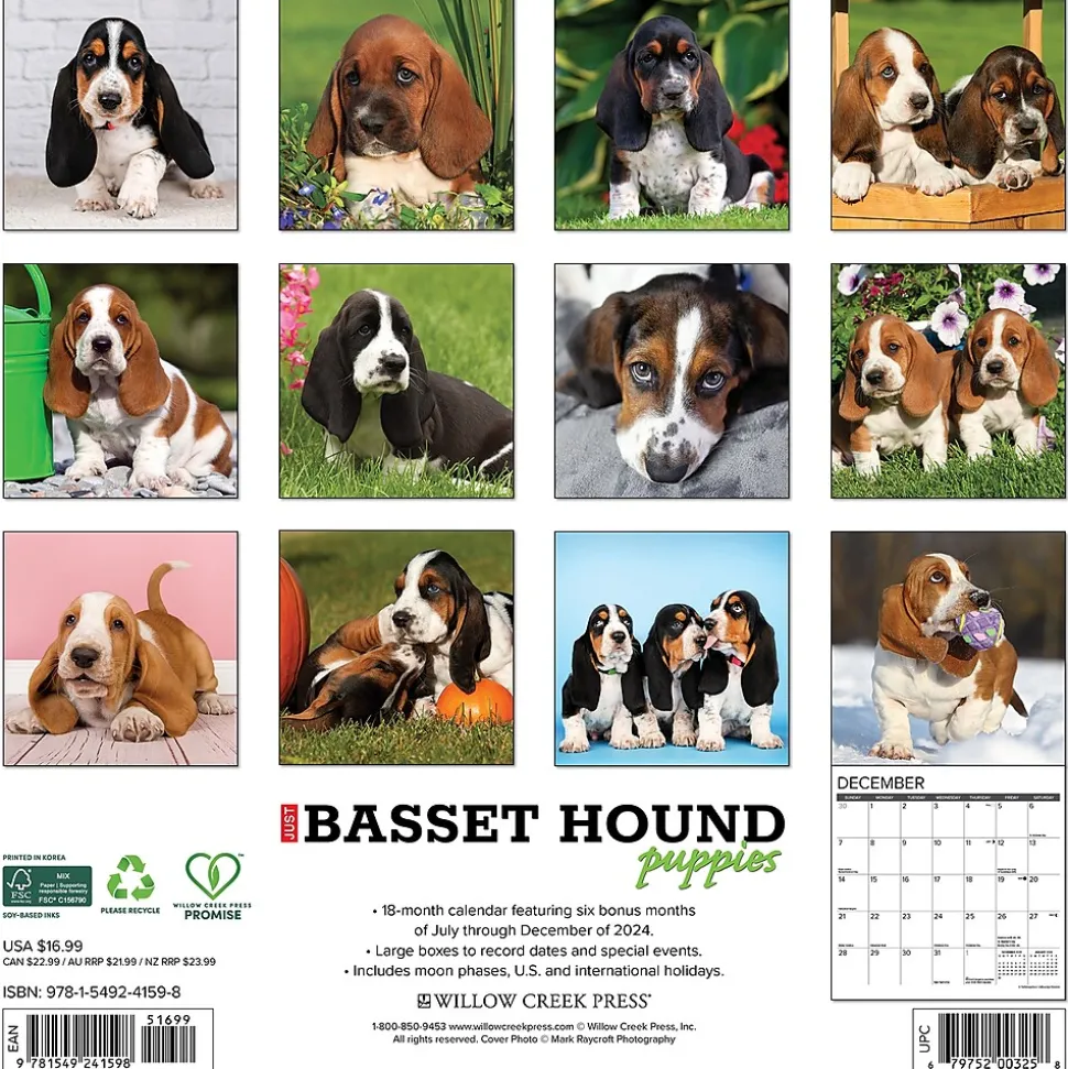 2025 Willow Creek Basset Hound Puppies 12" x 12" Yearly Wall Calendar (41598)