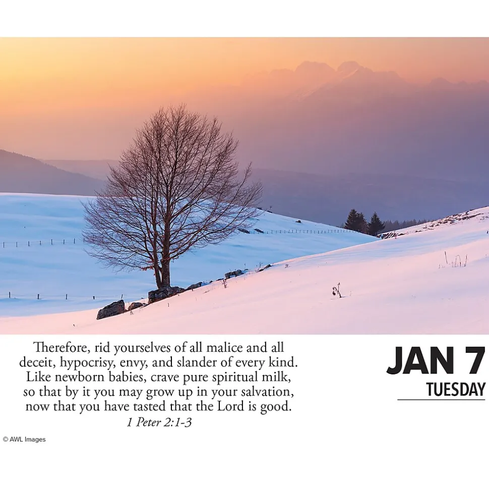 2025 Willow Creek Bible Verses 6" x 5.5" Day-to-Day Calendar (40669)
