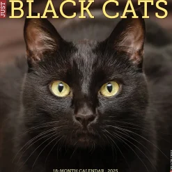 2025 Willow Creek Black Cats 12" x 12" Monthly Wall Calendar (41833)