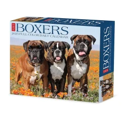 2025 Willow Creek Boxers 6" x 5.5" Day-to-Day Calendar (40690)