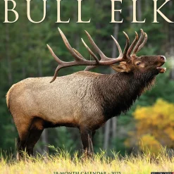 2025 Willow Creek Bull Elk 12" x 12" Monthly Wall Calendar, Multicolor (42007)