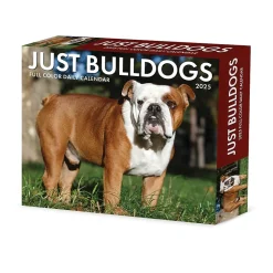 2025 Willow Creek Bulldogs 6" x 5.5" Day-to-Day Calendar, Multicolor (40706)