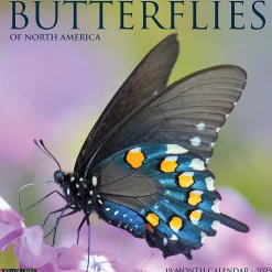 2025 Willow Creek Butterflies 12" x 12" Monthly Wall Calendar (42052)