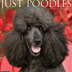2025 Willow Creek Just Poodles 12" x 12" Monthly Wall Calendar (44520)