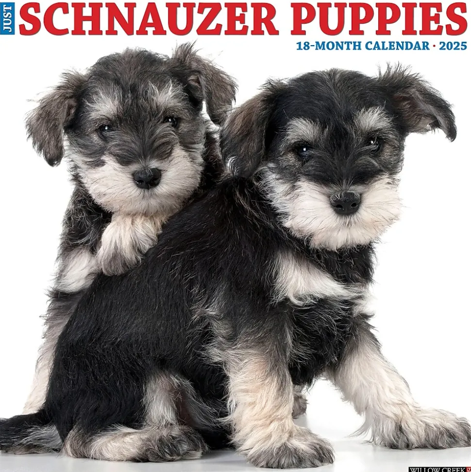 2025 Willow Creek Schnauzer Puppies 12" x 12" Yearly Wall Calendar (44759)