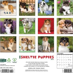 2025 Willow Creek Sheltie Puppies 12" x 12" Monthly Wall Calendar (44834)