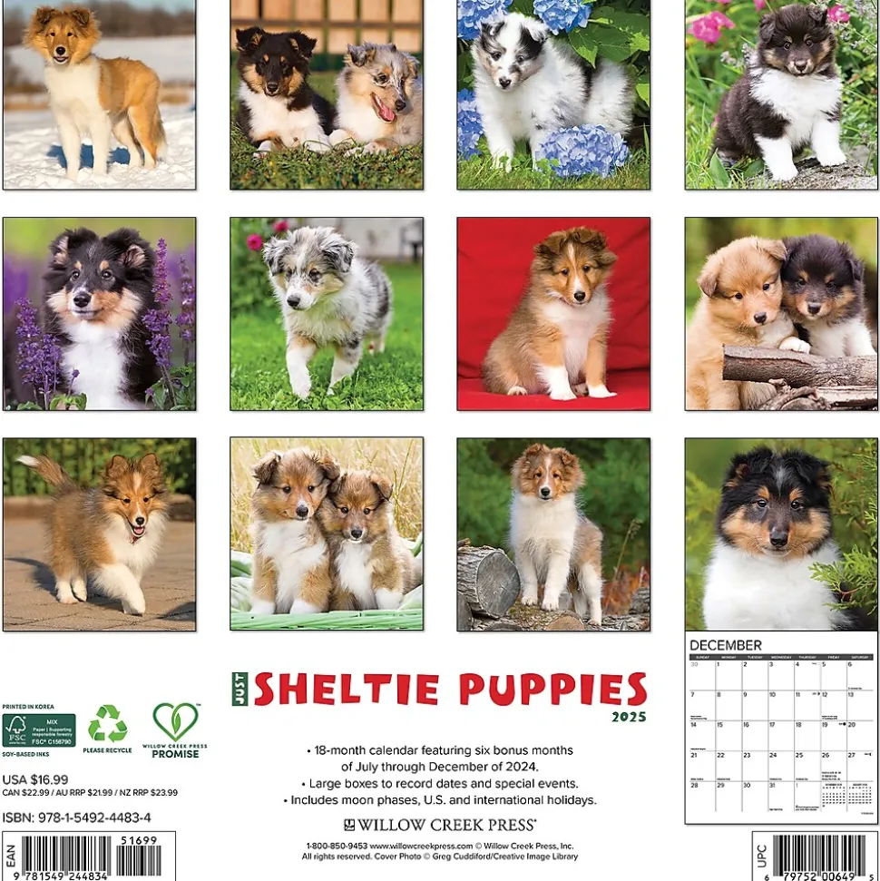 2025 Willow Creek Sheltie Puppies 12" x 12" Monthly Wall Calendar (44834)