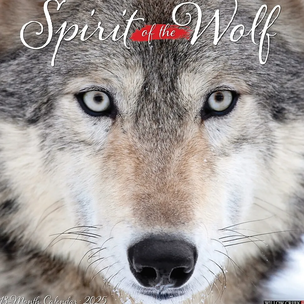 2025 Willow Creek Spirit of the Wolf 12" x 12" Monthly Wall Calendar (45008)